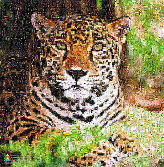 Artensoft Photo Mosaic Wizard 2.0 Pro