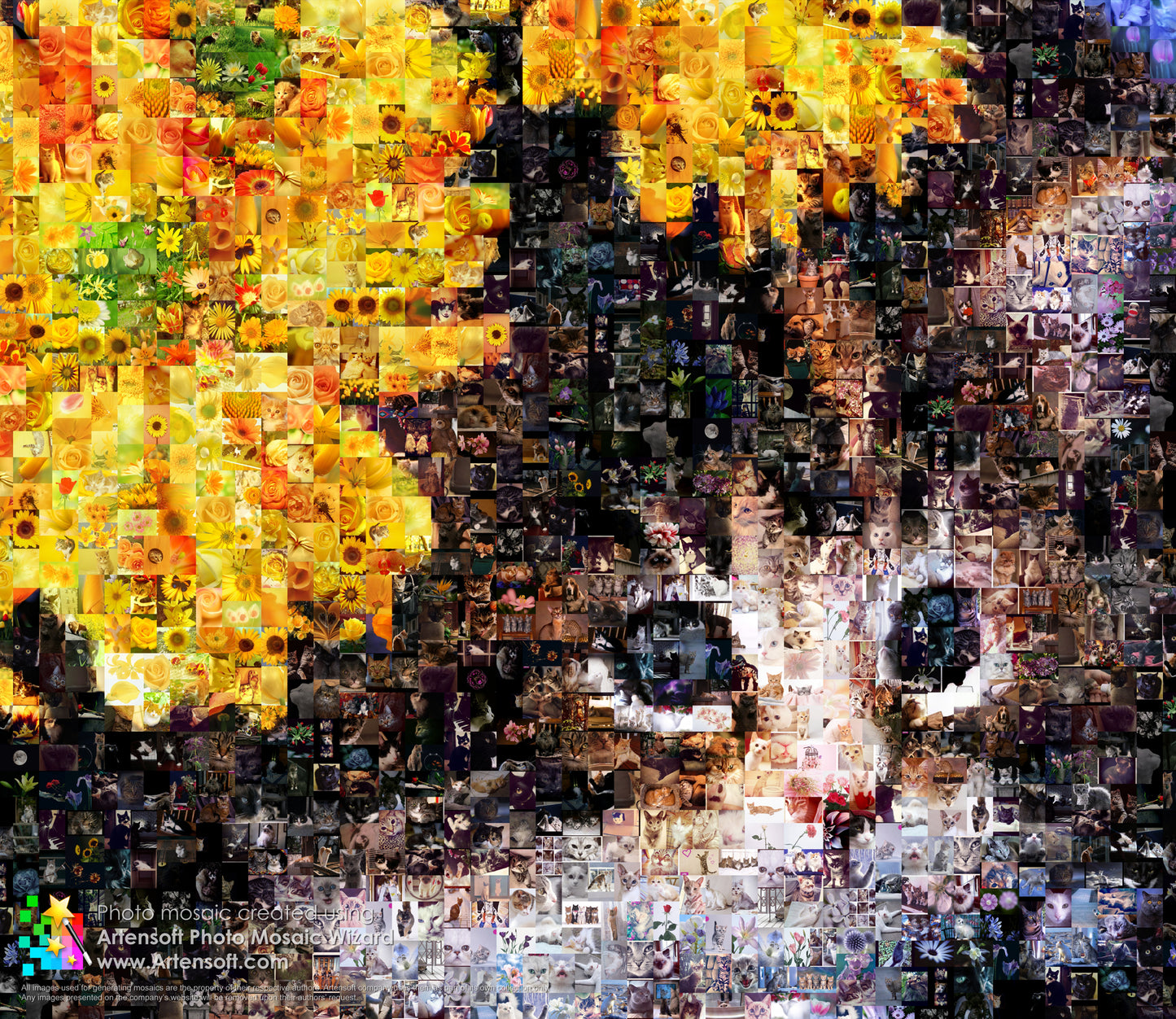 Artensoft Photo Mosaic Wizard 2.0 Pro